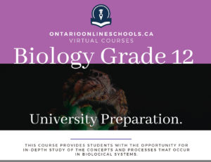 Biology, Grade 12, University Preparation