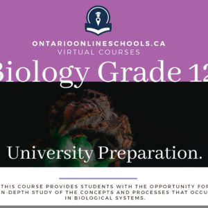 Biology, Grade 12, University Preparation